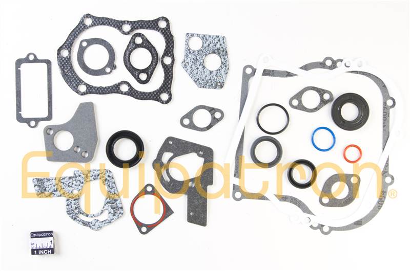 Briggs & Stratton 495603 Engine Gasket Set, Replaces 397145, 297615